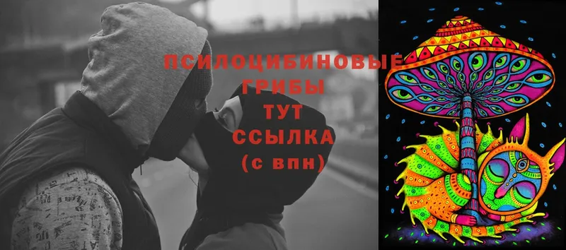 Галлюциногенные грибы Cubensis  где продают   Белинский 